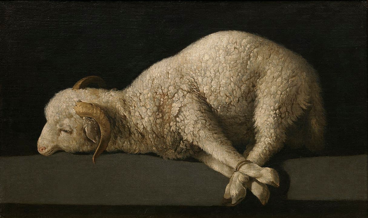 Agnus Dei - Francisco de Zurbarán
