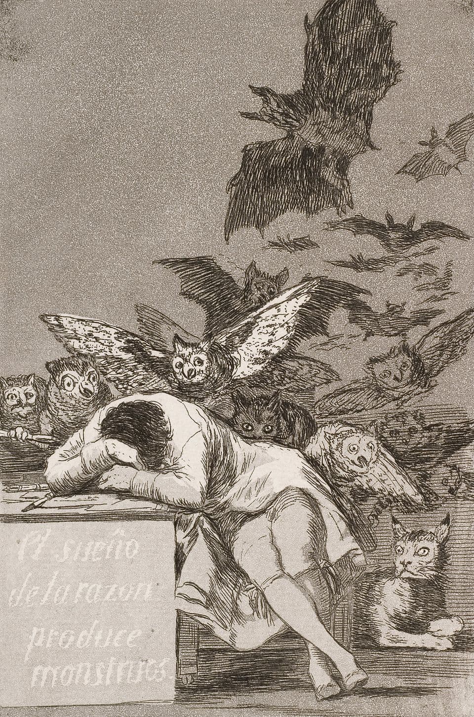 De slaap van de rede brengt monsters voort - Francisco de Goya